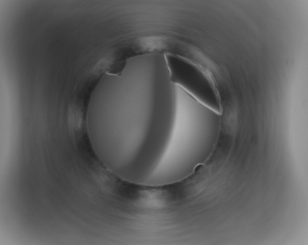 X0000113050417200909031336