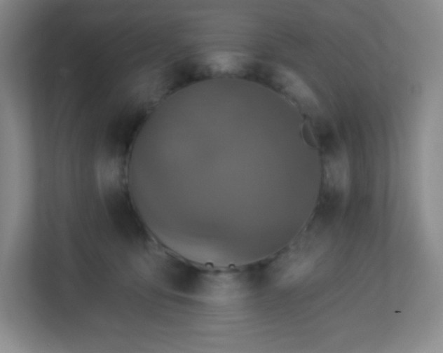 X0000113050419200909031336