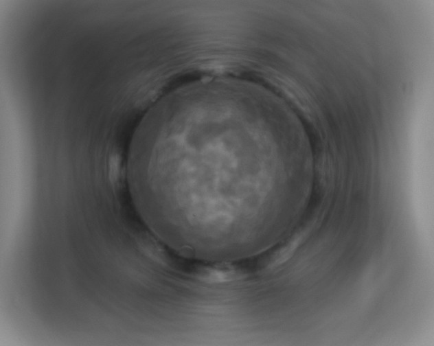 X0000113050420200909031336