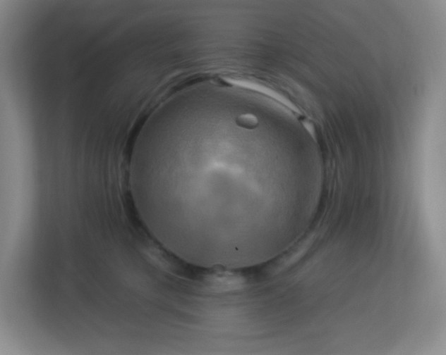 X0000113050421200909031336