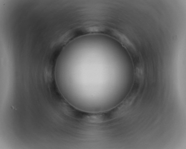 X0000113050422200909031336