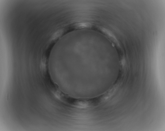 X0000113050423200909031335