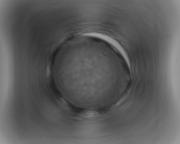 X0000113050424200909031335