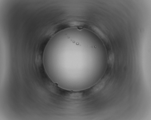 X0000113050426200909031335