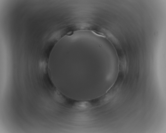 X0000113050427200909031335