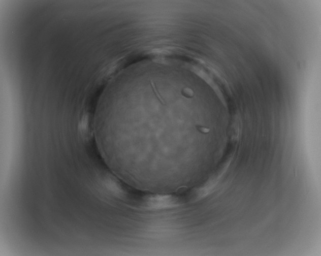 X0000113050428200909031335