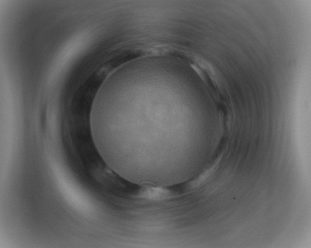 X0000113050429200909031335