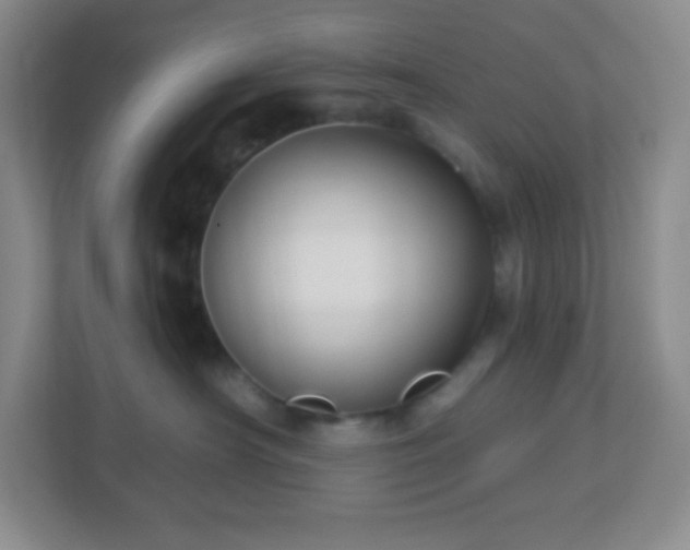 X0000113050430200909031335