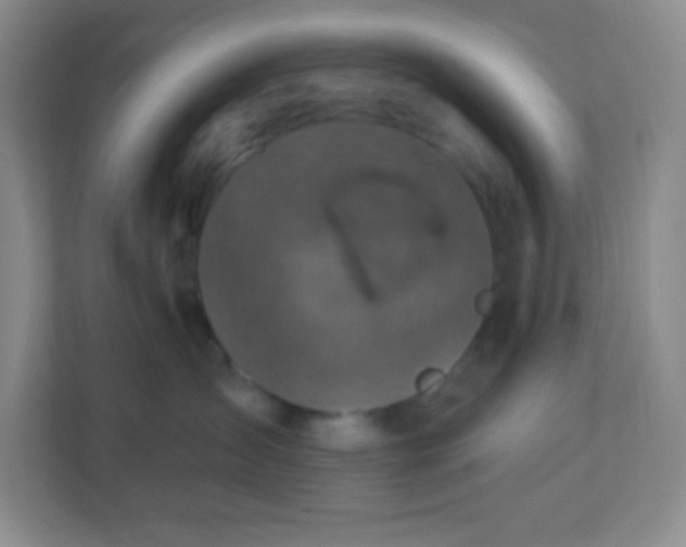 X0000113050431200909031335