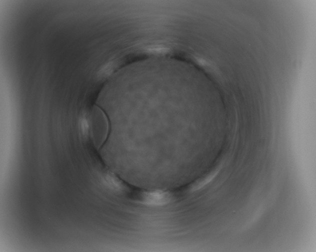 X0000113050432200909031335