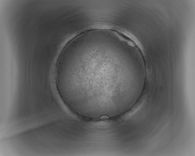 X0000113050433200909031335