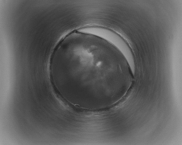 X0000113050434200909031335