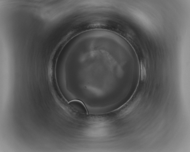 X0000113050435200909031335