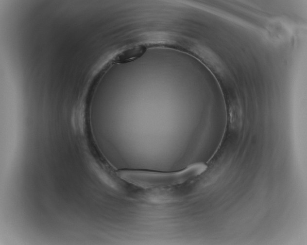 X0000113050436200909031335