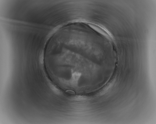 X0000113050437200909031335