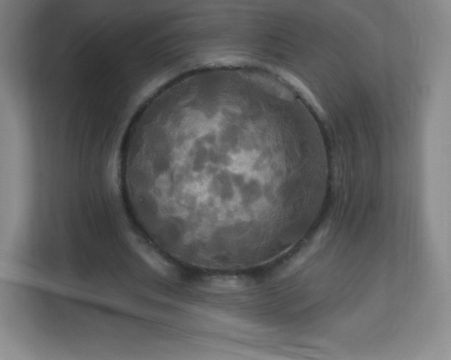 X0000113050439200909031335