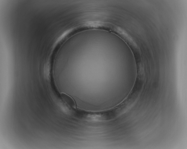 X0000113050440200909031335