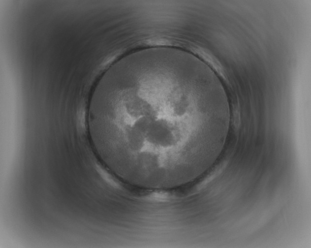 X0000113050441200909031335