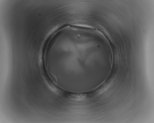 X0000113050443200909031335