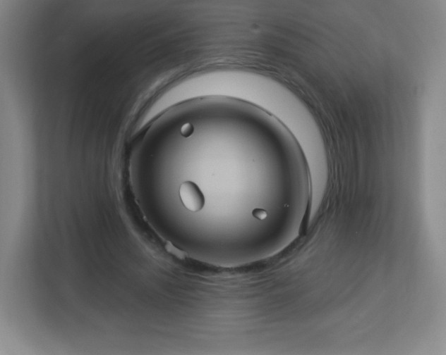 X0000113050444200909031335