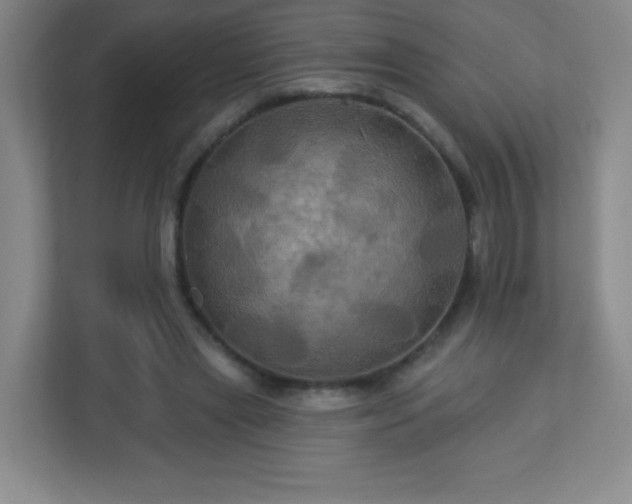 X0000113050445200909031335