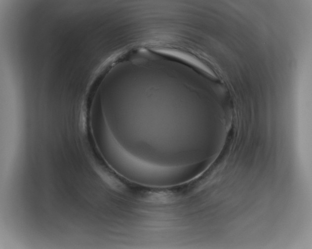 X0000113050446200909031335