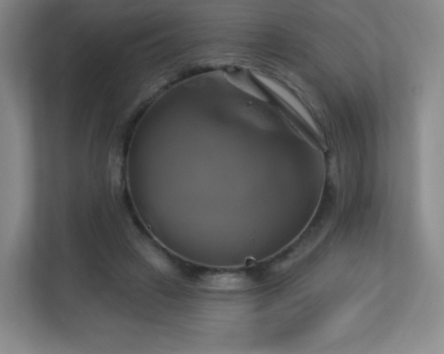 X0000113050449200909031335