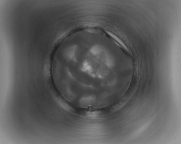 X0000113050450200909031335