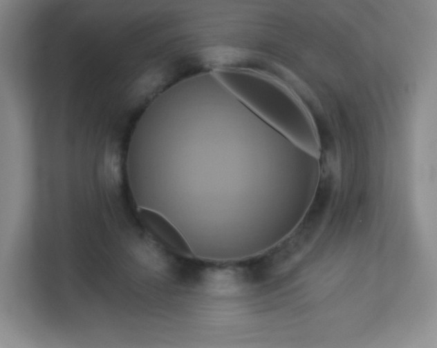 X0000113050452200909031335