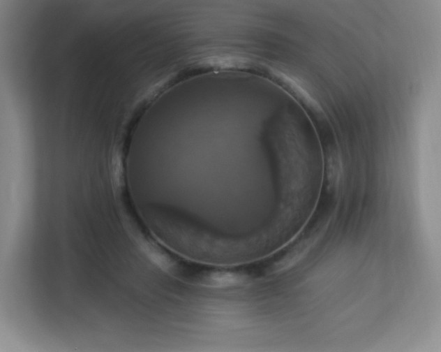 X0000113050453200909031335