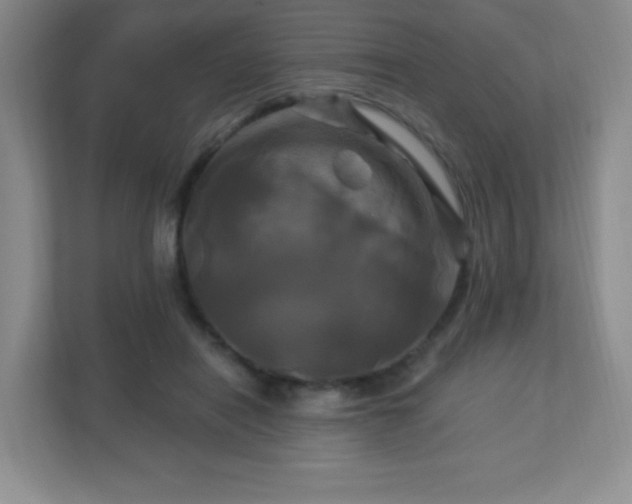 X0000113050454200909031335