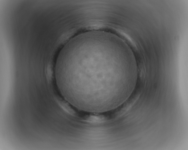 X0000113050455200909031335