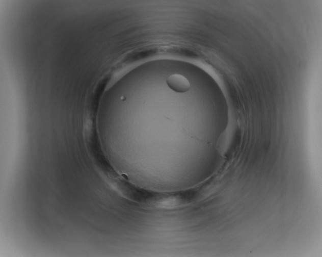 X0000113050456200909031335