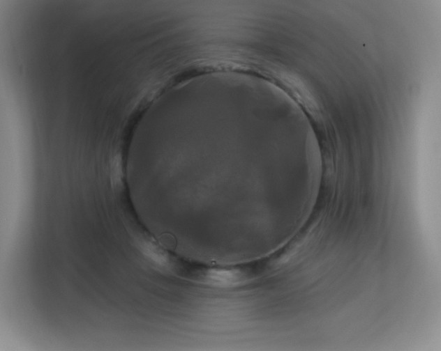 X0000113050457200909031335