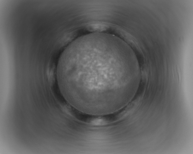 X0000113050460200909031335