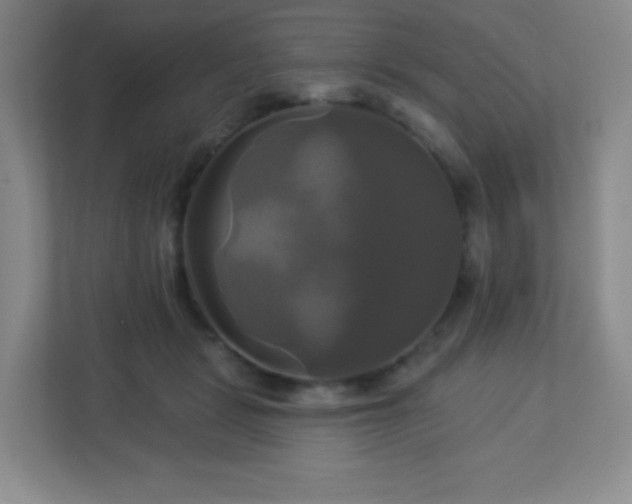 X0000113050461200909031335