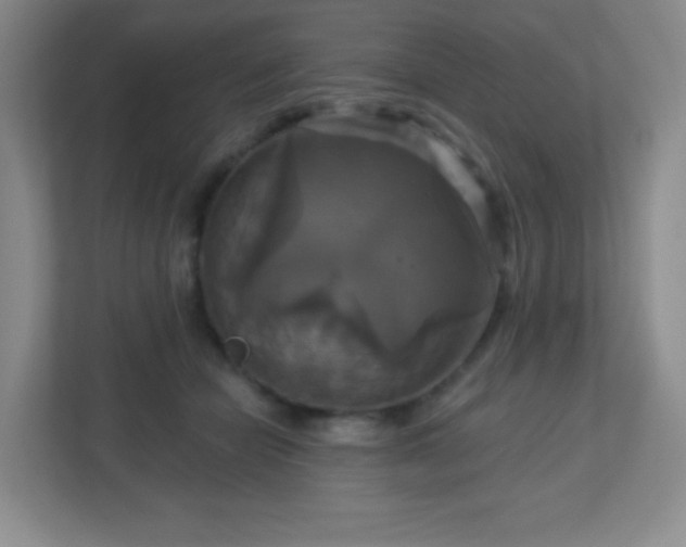 X0000113050462200909031335