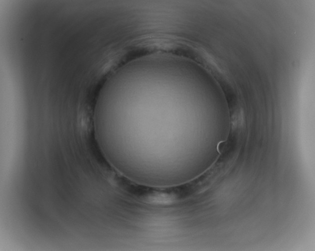 X0000113050464200909031335