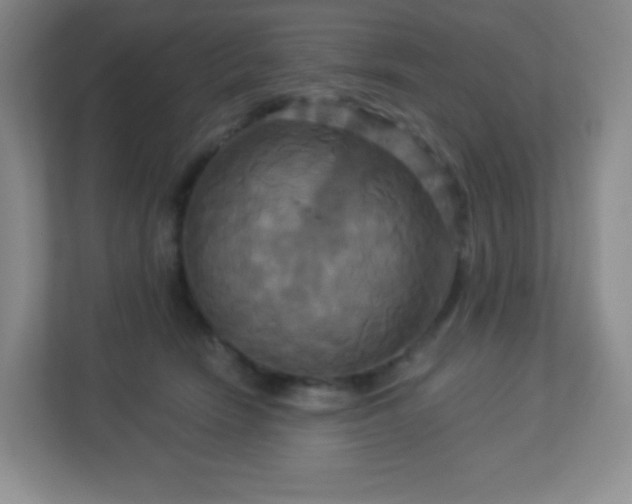 X0000113050466200909031335