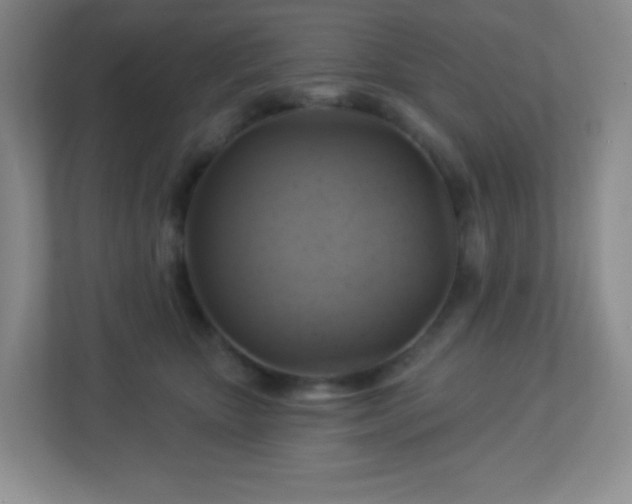 X0000113050467200909031335