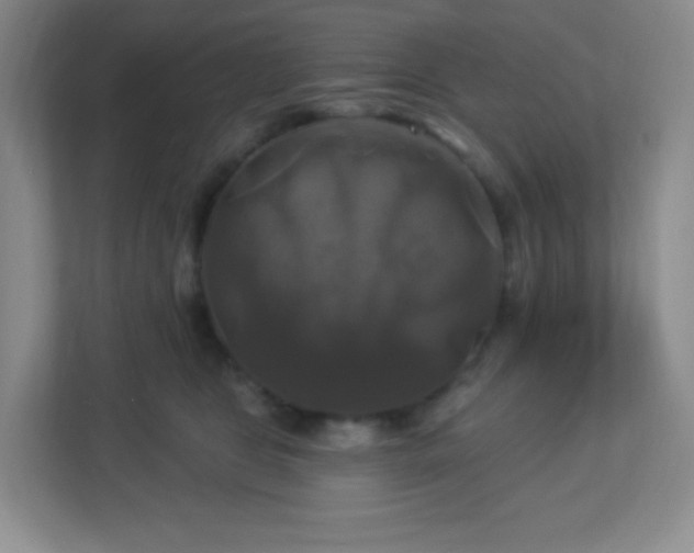 X0000113050469200909031335