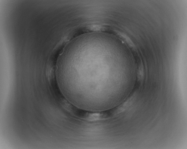 X0000113050473200909031335