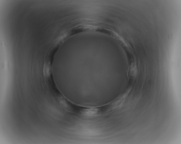 X0000113050474200909031335