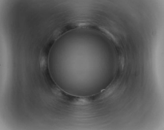 X0000113050475200909031335