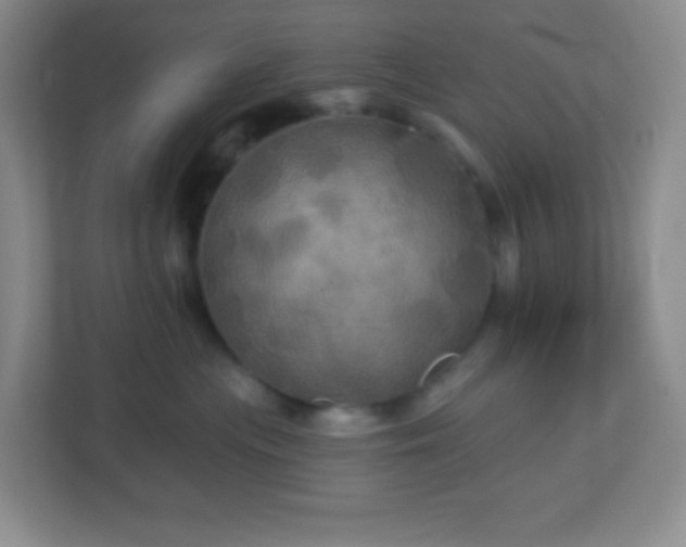 X0000113050477200909031335