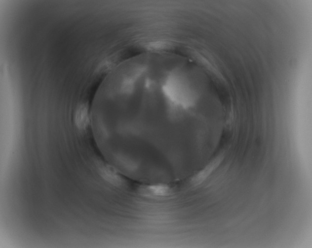 X0000113050478200909031335