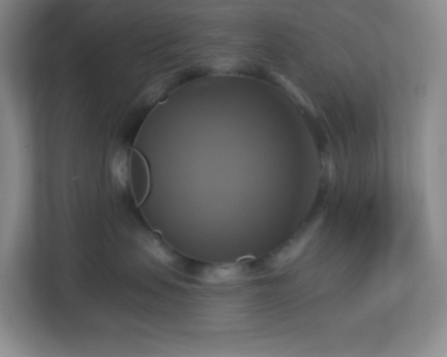 X0000113050479200909031335