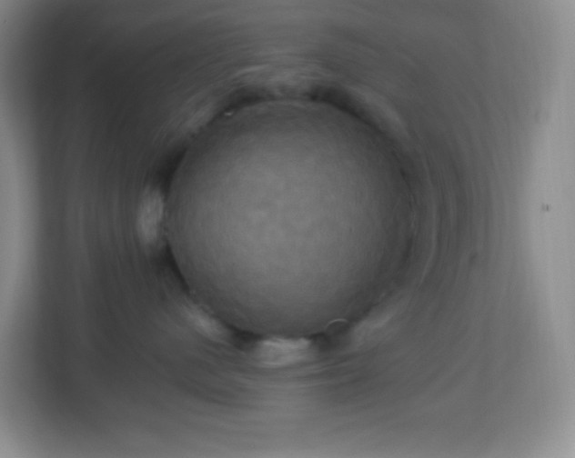 X0000113050480200909031335