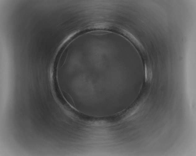 X0000113050483200909031335