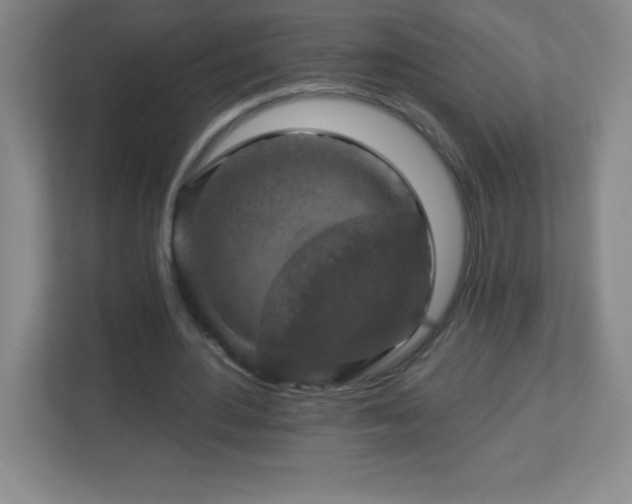 X0000113050484200909031335